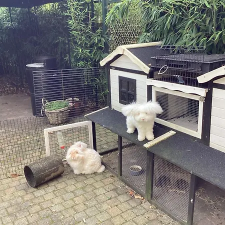 Koekwhouse Bed And Breakfast, Bierbrouwerij Bed & Breakfast Nispen