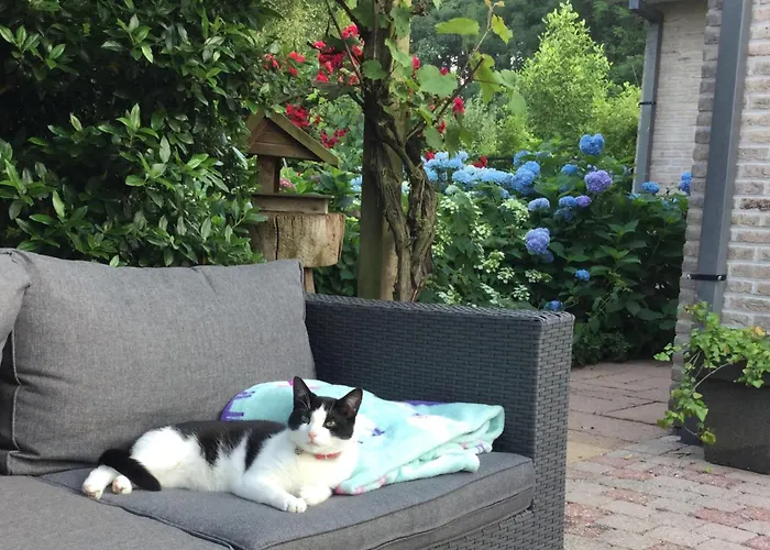 Koekwhouse Bed And Breakfast, Bierbrouwerij ベッド・アンド・ブレックファスト