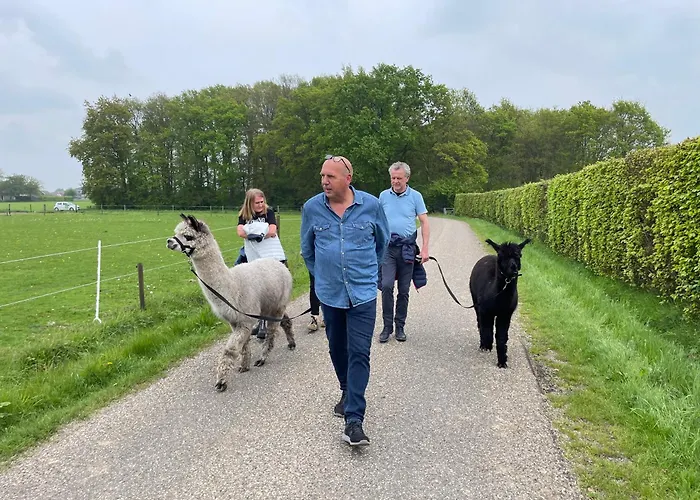 Koekwhouse Bed And Breakfast, Bierbrouwerij 4* Nispen