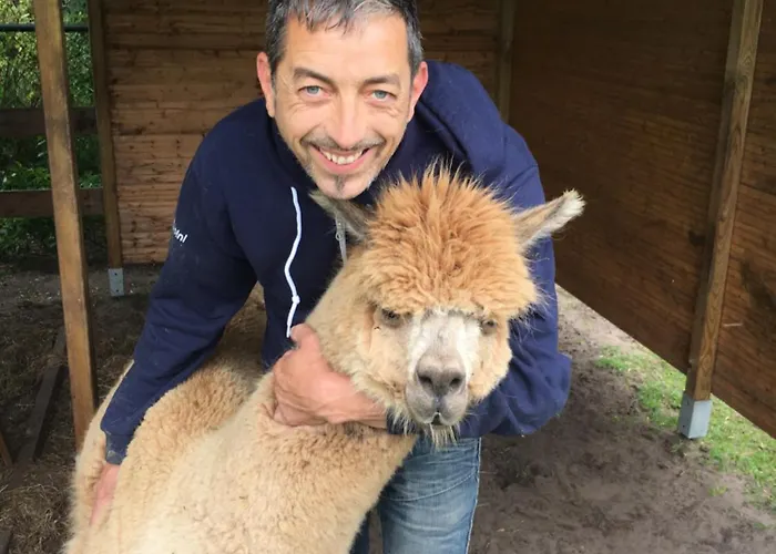 Koekwhouse Bed And Breakfast, Bierbrouwerij 4*