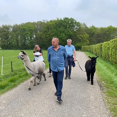 Koekwhouse Bed And Breakfast, Bierbrouwerij 4* Nispen