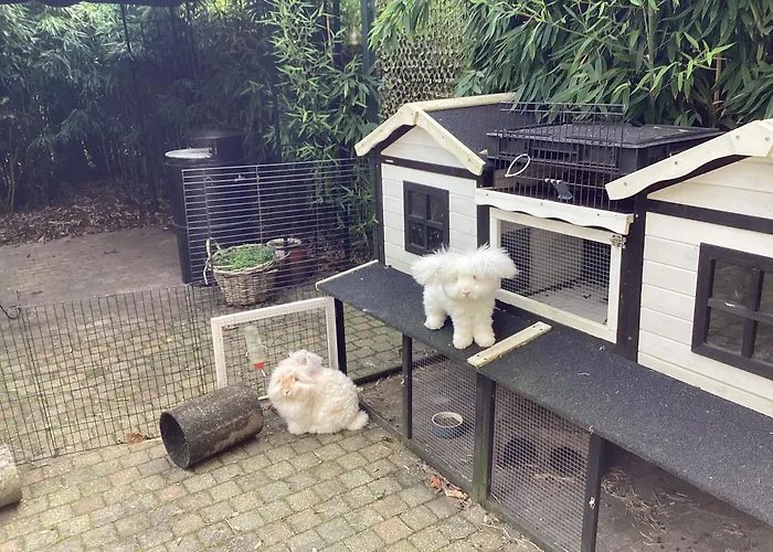 Koekwhouse Bed And Breakfast, Bierbrouwerij Bed & Breakfast Nispen