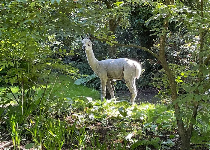Koekwhouse Bed And Breakfast, Bierbrouwerij Nispen